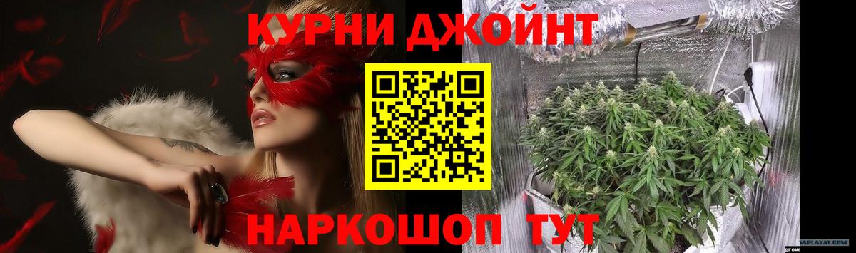 Шишки марихуана Bruce Banner  Вход с VPN  Конопля индика  Марихуана планчик  Псков  Бошки марихуана планчик 